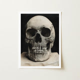 Study of a Human Skull Art Print / Canvas Monochrome Photograph Captured High Contrast Deep Bone Meets Lens, Prints