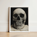 Study of a Human Skull Art Print / Canvas Framed Black White Photograph Textured Weathered Bone Meets Lens, Prints