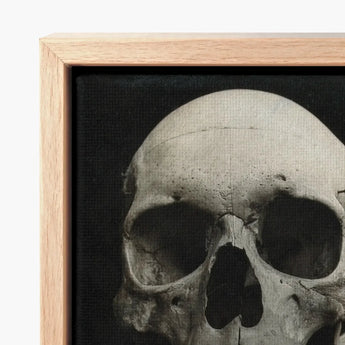 Study of a Human Skull Art Print / Canvas Framed Detailed Monochrome Depiction Bone Meets Lens, Prints