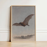 Study of a Vampire Bat - Samuel Howitt Art Print / Canvas Framed Artwork Mid-flight Rendered Detailed Linework Muted, Prints