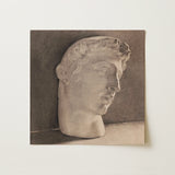 Study of a Plaster Head - Jan Veth Art Print / Canvas, 12x12’’ / 31x31cm / Unframed / no Border, Posters Prints & Visual Artwork, Toby Leon