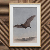 Studie einer Vampirfledermaus - Samuel Howitt Kunstdruck / Leinwand, 20x30’’ / 51x76cm / Naturrahmen / Passepartout, Poster Drucke & visuelle Kunstwerke,