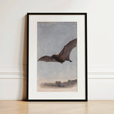 Study of a Vampire Bat - Samuel Howitt Art Print / Canvas, 12x18’’ / 31x46cm / Black Frame / Matboard, Posters Prints & Visual Artwork,