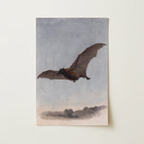 Study of a Vampire Bat - Samuel Howitt Art Print / Canvas, 12x18’’ / 31x46cm / Unframed / no Border, Posters Prints & Visual Artwork, Toby