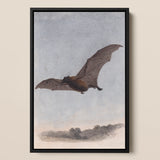 Study of a Vampire Bat - Samuel Howitt Art Print / Canvas Framed Artwork Brown Bat Detailed Wings Mid-flight Muted Vampire Bat, Samuel