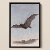Study of a Vampire Bat - Samuel Howitt Art Print / Canvas Framed Artwork Brown Detailed Wings Mid-flight Muted, Prints