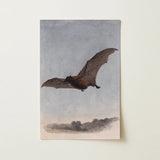 Study of a Vampire Bat - Samuel Howitt Art Print / Canvas Vintage-style Printed Illustration Brown Bat Mid-flight Rendered Detailed Vampire