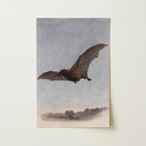 Study of a Vampire Bat - Samuel Howitt Art Print / Canvas Vintage-style Printed Illustration Brown Mid-flight Rendered Detailed, Prints