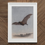 Study of a Vampire Bat - Samuel Howitt Art Print / Canvas White Framed Textured Wall, Prints