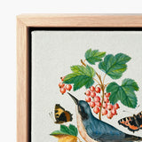 Subalpine Warbler Red Admiral Wasp Cocoon and Ants - James Bolton Art Print / Canvas Framed Botanical Illustration Blue Bird Berries