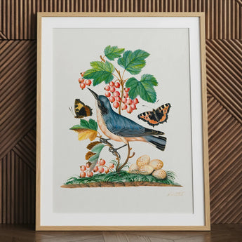 Subalpine Warbler Red Admiral Wasp Cocoon and Ants - James Bolton kunstprint / Canvas, 24x32’’ / 61x81cm / Naturel frame / Passe-partout, posters