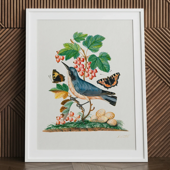 Subalpine Warbler Red Admiral Wasp Cocoon and Ants - James Bolton kunstprint / Canvas, 24x32’’ / 61x81cm / Wit frame / Passe-partout, posters