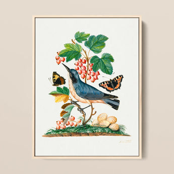 Subalpine Warbler Red Admiral Wasp Cocoon and Ants - James Bolton Art Print / Canvas, 12x16’’ / 31x41cm / Natural Frame, Posters Prints &