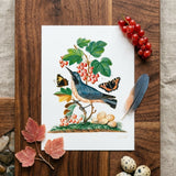 Subalpine Warbler Red Admiral Wasp Cocoon and Ants - James Bolton Art Print / Canvas Detailed Botanical Illustration Print Blue Bird