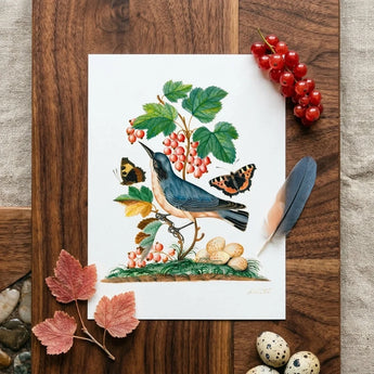 Subalpine Warbler Red Admiral Wasp Cocoon and Ants - James Bolton Art Print / Canvas Detailed Botanical Illustration Blue Bird Perched
