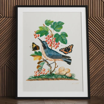 Subalpine Warbler Red Admiral Wasp Cocoon and Ants - James Bolton Art Print / Canvas Framed Botanical Illustration Blue Bird Perched