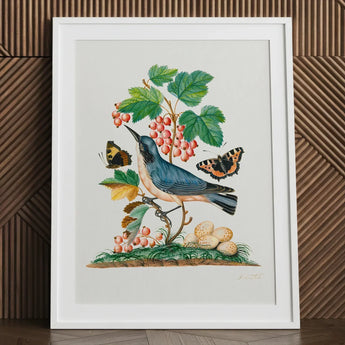 Subalpine Warbler Red Admiral Wasp Cocoon and Ants - James Bolton Art Print / Canvas Framed Botanical Illustration Blue Bird Perched