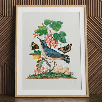 Subalpine Warbler Red Admiral Wasp Cocoon and Ants - James Bolton Art Print / Canvas Framed Botanical Illustration Blue Bird Perched Branch