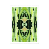 Oh so Succulent - Trippy Botanical Op Art Print / Canvas, Humble Aloe Reborn, Trippy Modern Botanical, Chlorophyll-infused Kaleidoscope