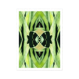 Oh so Succulent - Trippy Botanical Op Art Print / Canvas, 12x16’’ / 31x41cm / Unframed / White Border, Posters Prints & Visual Artwork,