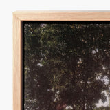 Summer - Károly Ferenczy Art Print / Canvas Light Wood-framed Dense Dark Green Tree Ferenczy’s Unfolds, Nagybánya Plein Air Techniques,