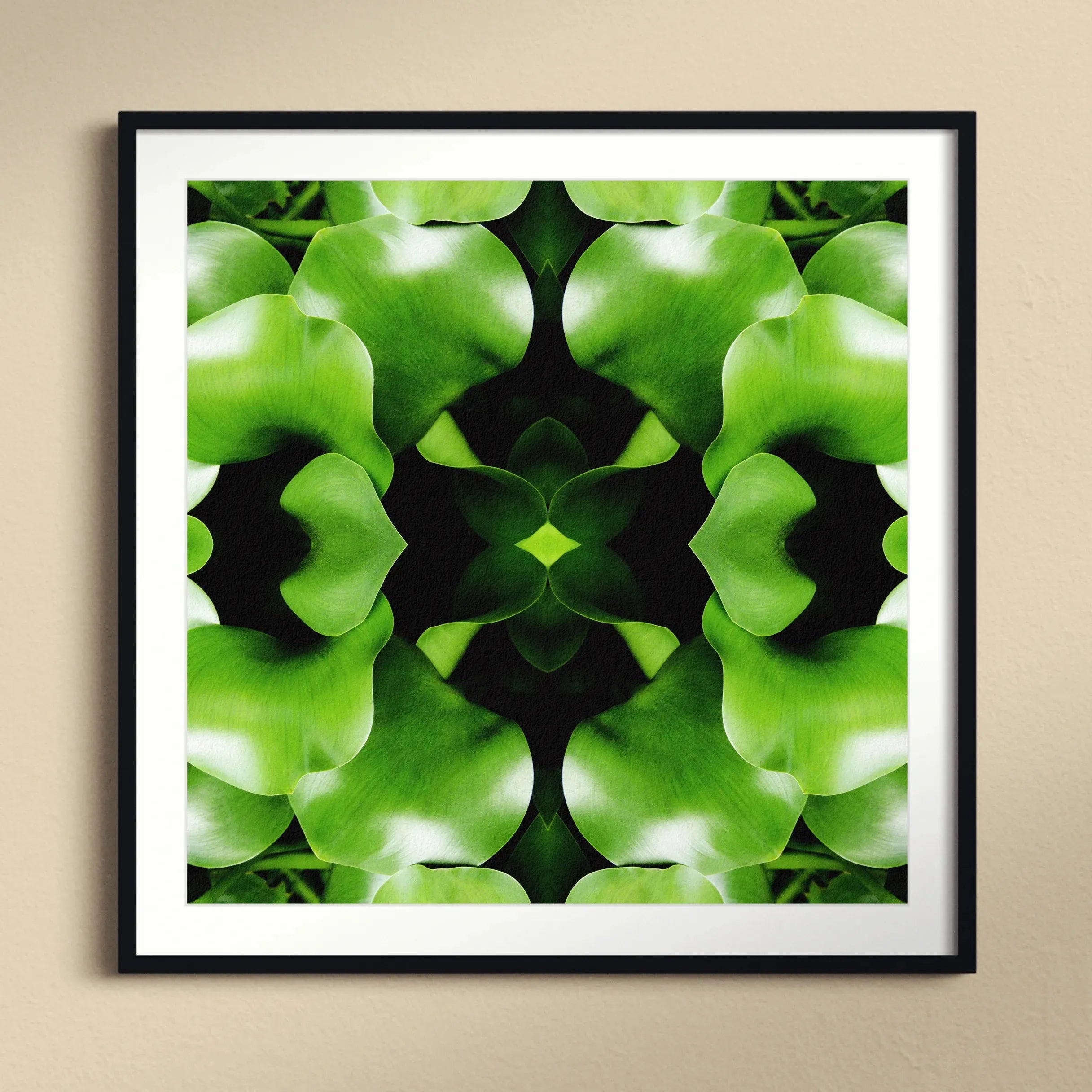 Take Me To Your Leader Framed & Mounted Print - Posters Prints & Visual Artwork - Aesthetic Art