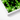 White-framed Artwork Close-up Vibrant Green Water Lily Leaves Botanical Op Art, Verdant Vortex, Mind-bending