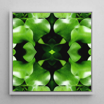Take me to your Leader - Trippy Leaves Op Art Print / Canvas Square-framed Abstract Botanical Symmetrical Kaleidoscopic Pattern, Verdant