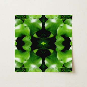 Take me to your Leader - Trippy Leaves Op Art Print / Canvas Vibrant Green Leaf Pattern Symmetrical Kaleidoscopic Design Square Botanical