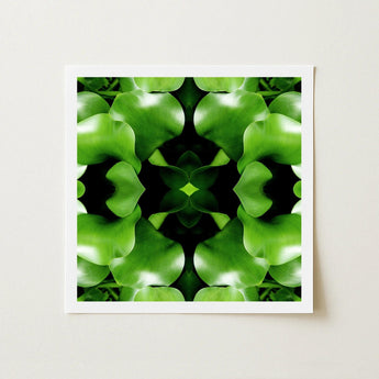 Take me to your Leader - Trippy Leaves Op Art Print / Canvas Square-framed Abstract Botanical Symmetrical Kaleidoscopic Pattern Vibrant,