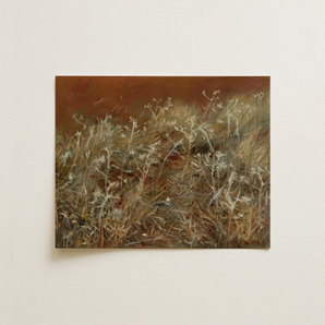 Thistles - John Singer Sargent En Plein Air Art Print / Canvas, 14x11’’ / 36x28cm / Unframed / no Border, Posters Prints & Visual Artwork,