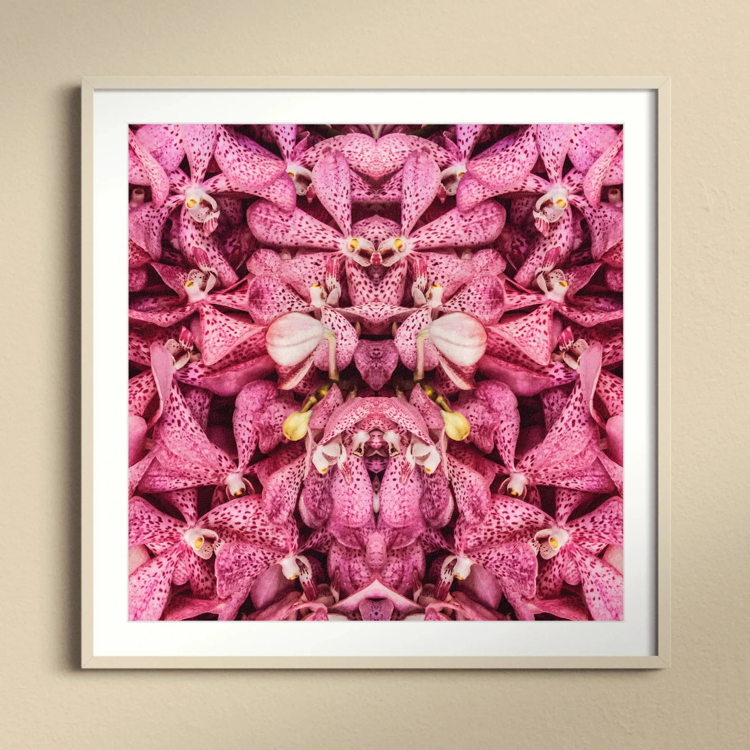 Tickled Pink Framed & Mounted Print - Posters Prints & Visual Artwork - Aesthetic Art