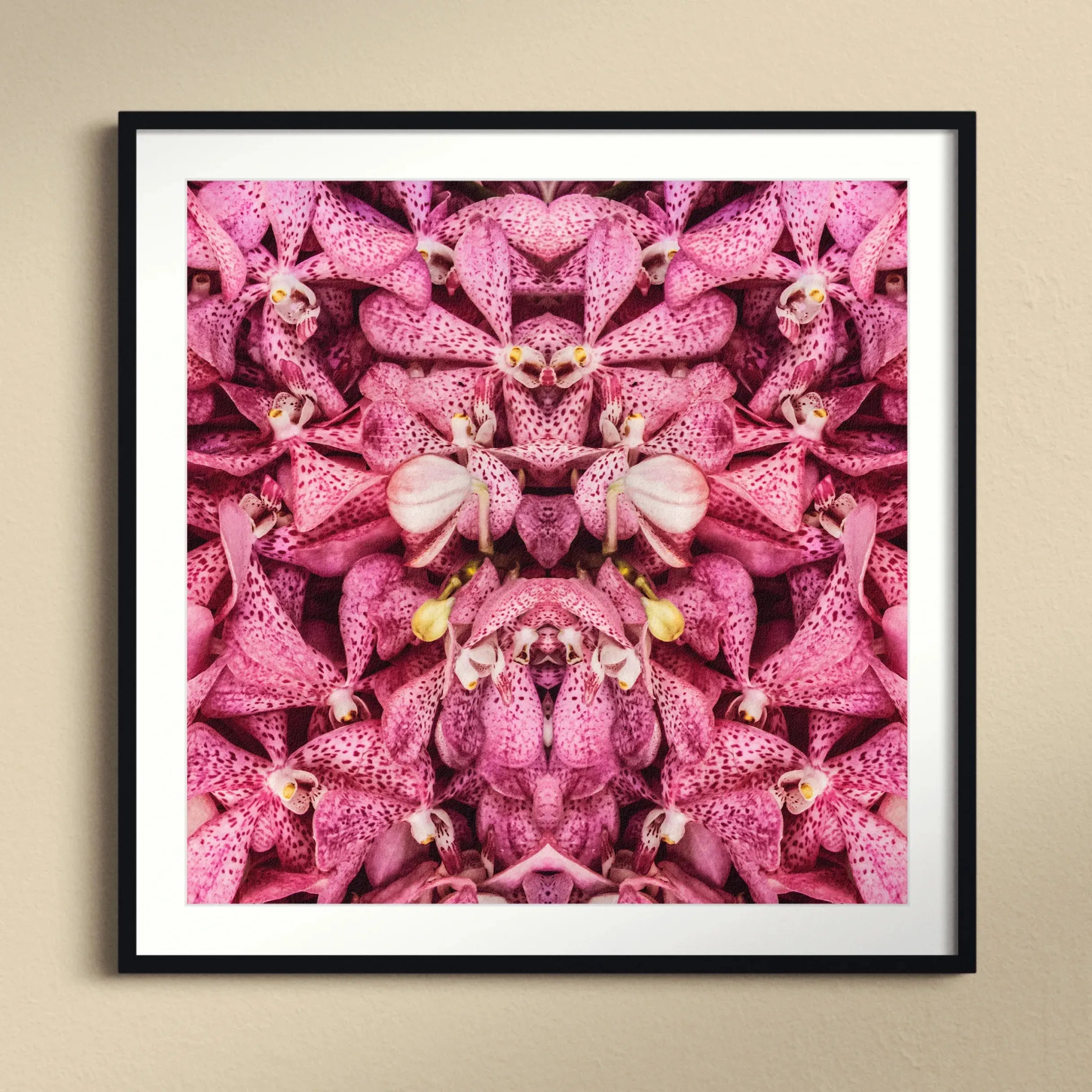 Tickled Pink Framed & Mounted Print - Posters Prints & Visual Artwork - Aesthetic Art