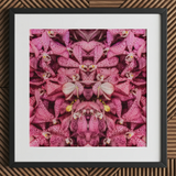 Tickled Pink - Fuchsia-Orchideen-Op-Art-Print / Leinwand, 12x12’’ / 31x31cm / Schwarzer Rahmen / Passepartout, Poster, Drucke & visuelle Kunstwerke, Toby Leon