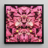 Tickled Pink - Fuchsia-Orchideen-Op-Art-Print / Leinwand, 12x12’’ / 31x31cm / Schwarzer Rahmen, Poster, Drucke & visuelle Kunstwerke, Toby Leon