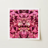 Tickled Pink - Fuschia Orchid Op Art Print / Canvas Square-framed Artwork Symmetrical Kaleidoscopic Pattern Vibrant Orchids, Sensory
