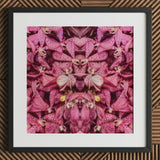 Tickled Pink - Fuschia Orchid Op Art Print / Canvas Framed Artwork Symmetrical Kaleidoscopic Pattern Orchids Dark, Sensory Explosion, Prints