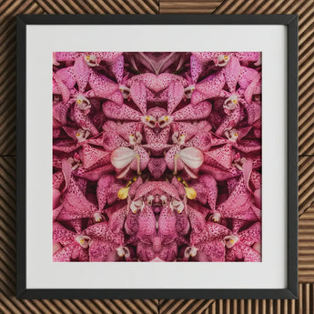 Tickled Pink - Fuschia Orchid Op Art Print / Canvas Framed Artwork Symmetrical Kaleidoscopic Pattern Orchids Dark, Sensory Explosion, Prints