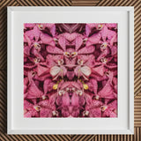 Tickled Pink - Fuschia Orchid Op Art Print / Canvas Framed Artwork Symmetrical Kaleidoscopic Pattern Orchids Dark, Sensory Explosion, Prints