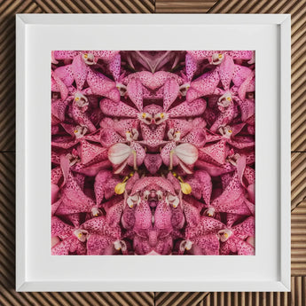 Tickled Pink - Fuschia Orchid Op Art Print / Canvas Framed Artwork Symmetrical Kaleidoscopic Pattern Orchids Dark, Sensory Explosion, Prints