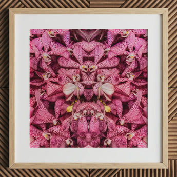Tickled Pink - Fuschia Orchid Op Art Print / Canvas Framed Artwork Symmetrical Kaleidoscopic Pattern Vibrant Orchids, Sensory Explosion,
