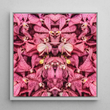Tickled Pink - Fuschia Orchid Op Art Print / Canvas Framed Artwork Symmetrical Kaleidoscopic Pattern Vibrant Pink Orchids Orchid Op Art,