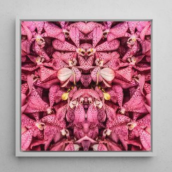 Tickled Pink - Fuschia Orchid Op Art Print / Canvas Framed Artwork Symmetrical Kaleidoscopic Pattern Vibrant Pink Orchids Orchid Op Art,