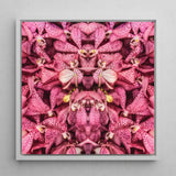 Tickled Pink - Fuschia Orchid Op Art Print / Canvas Framed Artwork Symmetrical Kaleidoscopic Pattern Vibrant Orchids, Sensory Explosion,