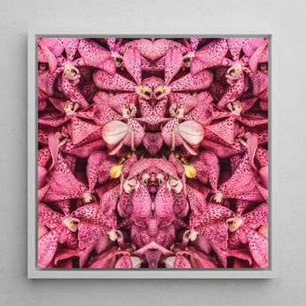 Tickled Pink - Fuschia Orchid Op Art Print / Canvas Framed Artwork Symmetrical Kaleidoscopic Pattern Vibrant Orchids, Sensory Explosion,