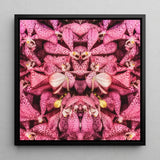 Tickled Pink - Fuschia Orchid Op Art Print / Canvas Framed Square Symmetrical Kaleidoscopic Pattern Vibrant, Sensory Explosion, Prints