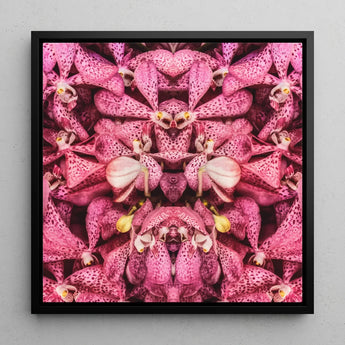 Tickled Pink - Fuschia Orchid Op Art Print / Canvas Framed Square Symmetrical Kaleidoscopic Pattern Vibrant, Sensory Explosion, Prints