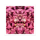 Tickled Pink - Fuschia Orchid Op Art Print / Canvas Spotted Orchids Arranged Kaleidoscopic Pattern, Sensory Explosion, Prints