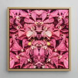 Tickled Pink - Fuschia Orchid Op Art Print / Canvas Square-framed Artwork Symmetrical Kaleidoscopic Pattern Vibrant Pink Orchids Orchid Op