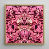 Tickled Pink - Fuschia Orchid Op Art Print / Canvas Square-framed Artwork Symmetrical Kaleidoscopic Pattern Vibrant Orchids, Sensory